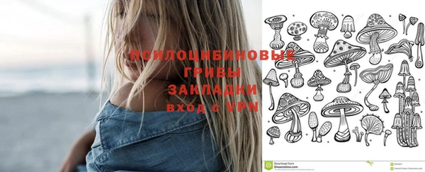 прущие крисы Баксан
