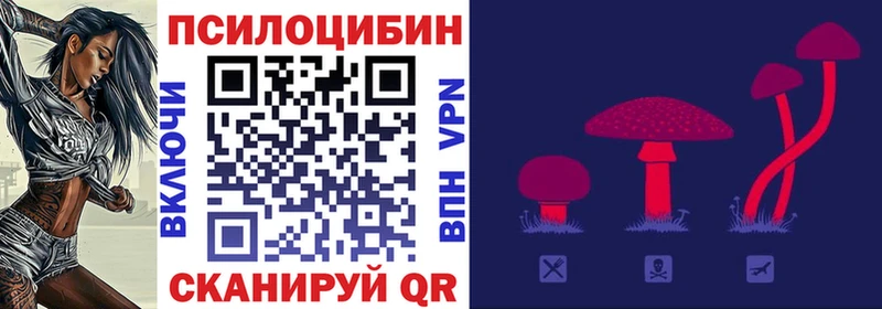 KRAKEN tor  Богданович  Галлюциногенные грибы GOLDEN TEACHER 